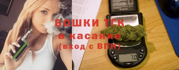 дмт Алексин