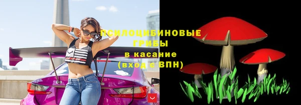 дмт Алексин