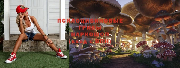 jwh Алзамай