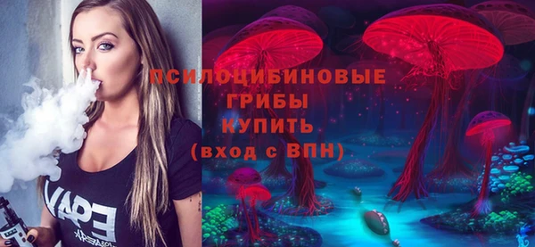 дмт Алексин