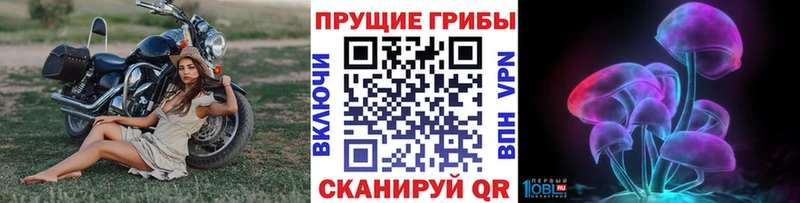 Галлюциногенные грибы MAGIC MUSHROOMS  KRAKEN вход  Волоколамск 